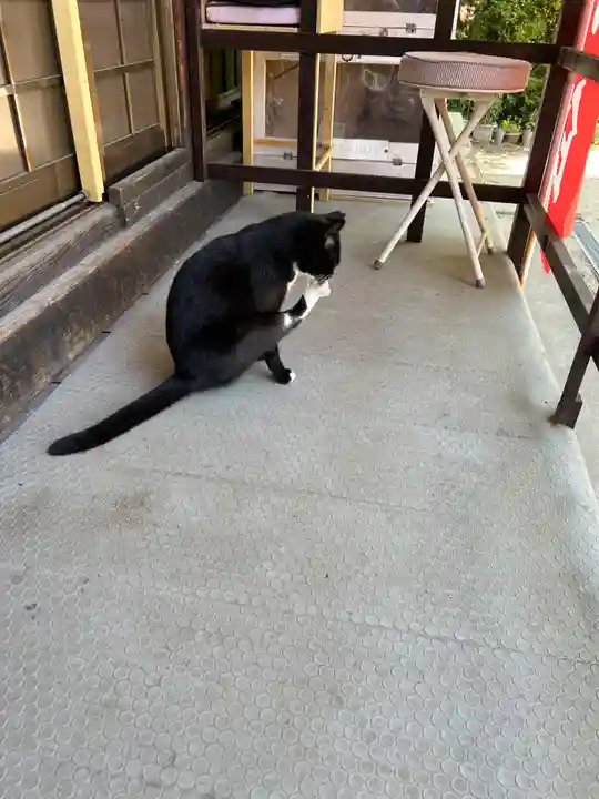 岡部春日神社~👹鬼門よけの🌺花咲く🌺やしろ~(福島県)