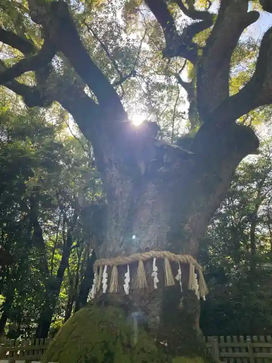 熱田神宮の{uncategorized: "未分類", other: "その他", undefined: "問題あり", building: "その他建物", grave: "お墓", sacred_gate: "鳥居", guardian: "狛犬", statue: "像", buddha: "仏像", history: "歴史", nature: "自然", garden: "庭園", animal: "動物", pagoda: "塔", temizu: "手水舎", mountain_gate: "山門・神門", sanctuary: "本殿・本堂", subordinate: "末社・摂社", art: "芸術", scenery: "景色", jizo: "地蔵", ema: "絵馬", goshuin: "御朱印", omikuji: "おみくじ", items: "授与品その他", amulet: "お守り", goshuincho: "御朱印帳", eats: "食事", festival: "お祭り", votive_dance: "神楽", shichigosan: "七五三参", wedding: "結婚式", experience: "体験その他", initially: "初詣", around: "周辺", anti_infection: "感染症対策"}