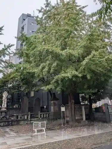 観音寺(東京都)