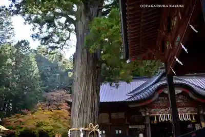 北口本宮冨士浅間神社(山梨県)