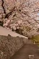 久妙寺(愛媛県)