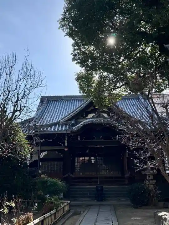 本教寺の{uncategorized: "未分類", other: "その他", undefined: "問題あり", building: "その他建物", grave: "お墓", sacred_gate: "鳥居", guardian: "狛犬", statue: "像", buddha: "仏像", history: "歴史", nature: "自然", garden: "庭園", animal: "動物", pagoda: "塔", temizu: "手水舎", mountain_gate: "山門・神門", sanctuary: "本殿・本堂", subordinate: "末社・摂社", art: "芸術", scenery: "景色", jizo: "地蔵", ema: "絵馬", goshuin: "御朱印", omikuji: "おみくじ", items: "授与品その他", amulet: "お守り", goshuincho: "御朱印帳", eats: "食事", festival: "お祭り", votive_dance: "神楽", shichigosan: "七五三参", wedding: "結婚式", experience: "体験その他", initially: "初詣", around: "周辺", anti_infection: "感染症対策"}