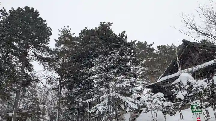 上川神社の景色