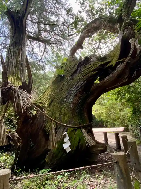 大山祇神社(愛媛県)