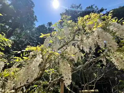 歌泉堂（春日大社神苑萬葉植物園内鎮座）(奈良県)