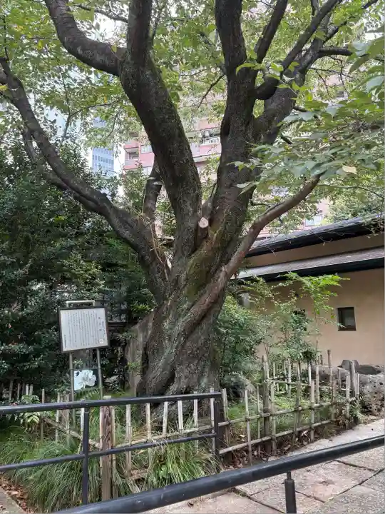 金王八幡宮(東京都)