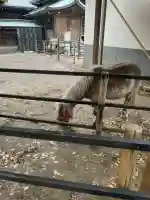 平塚八幡宮の{uncategorized: "未分類", other: "その他", undefined: "問題あり", building: "その他建物", grave: "お墓", sacred_gate: "鳥居", guardian: "狛犬", statue: "像", buddha: "仏像", history: "歴史", nature: "自然", garden: "庭園", animal: "動物", pagoda: "塔", temizu: "手水舎", mountain_gate: "山門・神門", sanctuary: "本殿・本堂", subordinate: "末社・摂社", art: "芸術", scenery: "景色", jizo: "地蔵", ema: "絵馬", goshuin: "御朱印", omikuji: "おみくじ", items: "授与品その他", amulet: "お守り", goshuincho: "御朱印帳", eats: "食事", festival: "お祭り", votive_dance: "神楽", shichigosan: "七五三参", wedding: "結婚式", experience: "体験その他", initially: "初詣", around: "周辺", anti_infection: "感染症対策"}