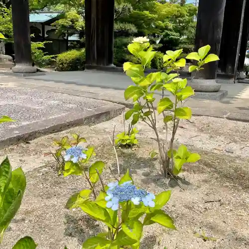 伊勢の国 四天王寺の自然