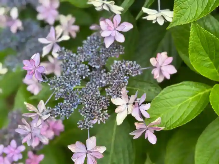 豊景神社(福島県)