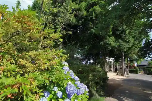 熊野福藏神社の景色