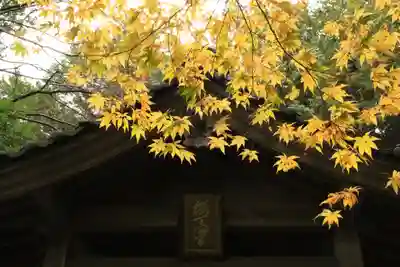 桜天満宮(京都府)