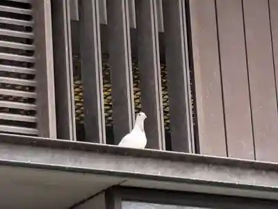 靖國神社(東京都)