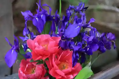 高司神社〜むすびの神の鎮まる社〜の手水舎
