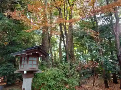 寒川神社(神奈川県)
