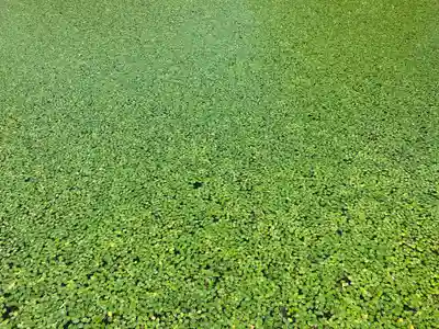 涼ケ岡八幡神社(福島県)