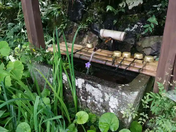 神藏寺の手水舎