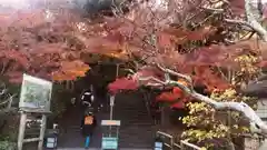 長谷寺(神奈川県)