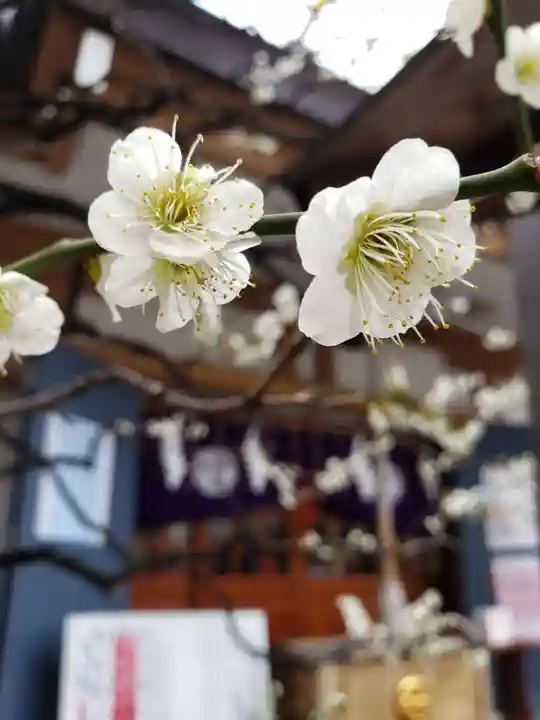 穏田神社(東京都)