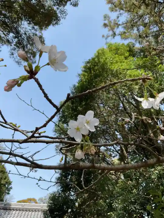 鹽江神社(中野)(愛知県)