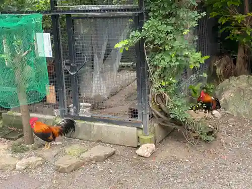 高知大神宮(高知県)