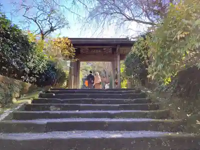 明月院の山門・神門