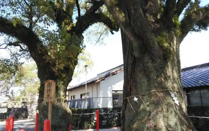 美奈宜神社の自然