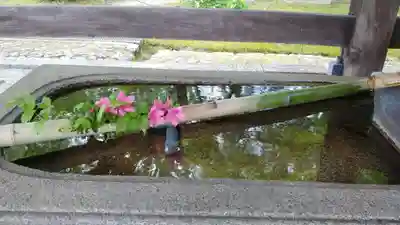 真正極楽寺(真如堂)の手水舎