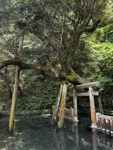 鹿島神宮(茨城県)