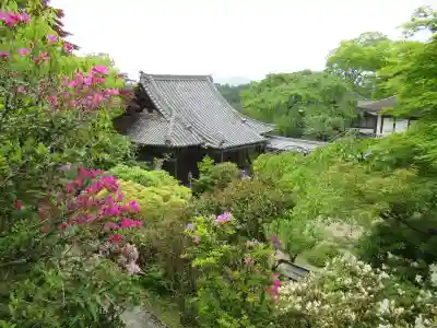 竹林院の本殿・本堂