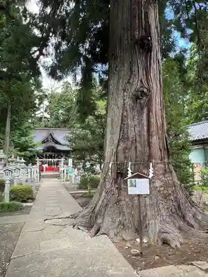 涼ケ岡八幡神社(福島県)