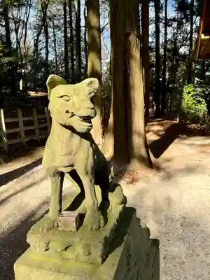 宝登山神社奥宮の狛犬