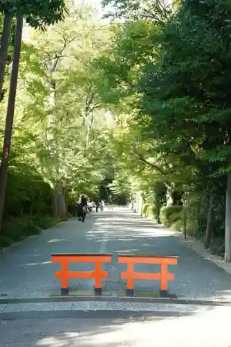 賀茂御祖神社（下鴨神社）の自然