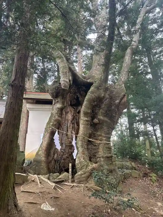 黒沼神社(福島県)