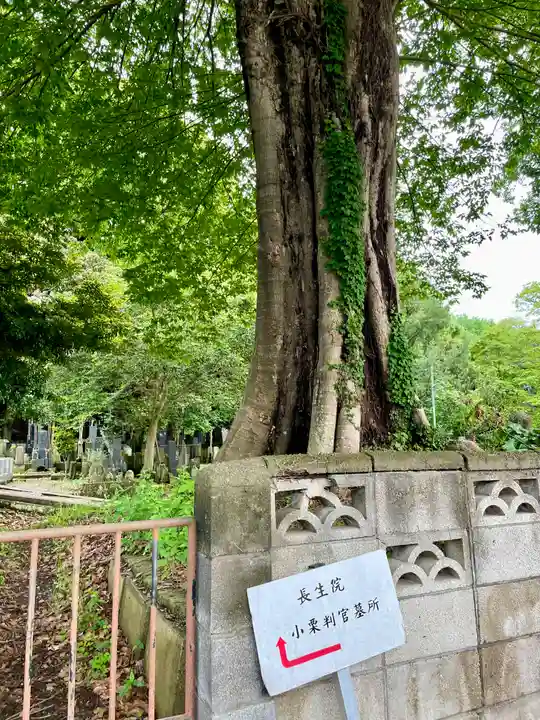 長生院(神奈川県)