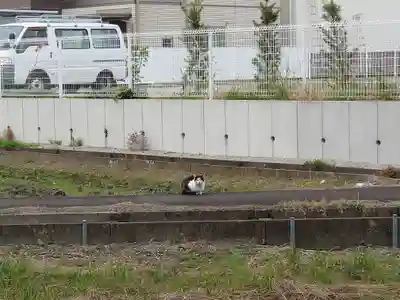 小土神社(静岡県)