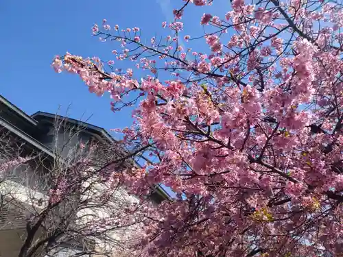 三嶋大社(静岡県)