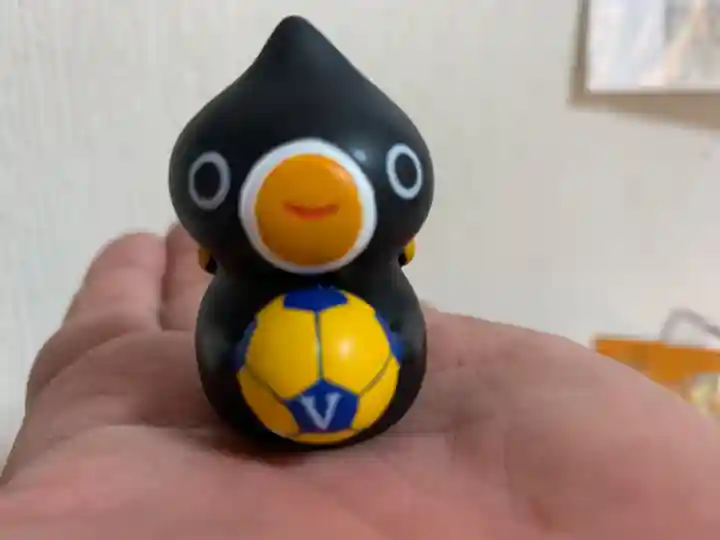 諫早神社(九州総守護 四面宮)のおみくじ