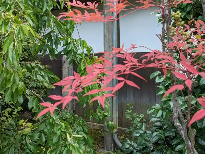 常徳寺(京都府)