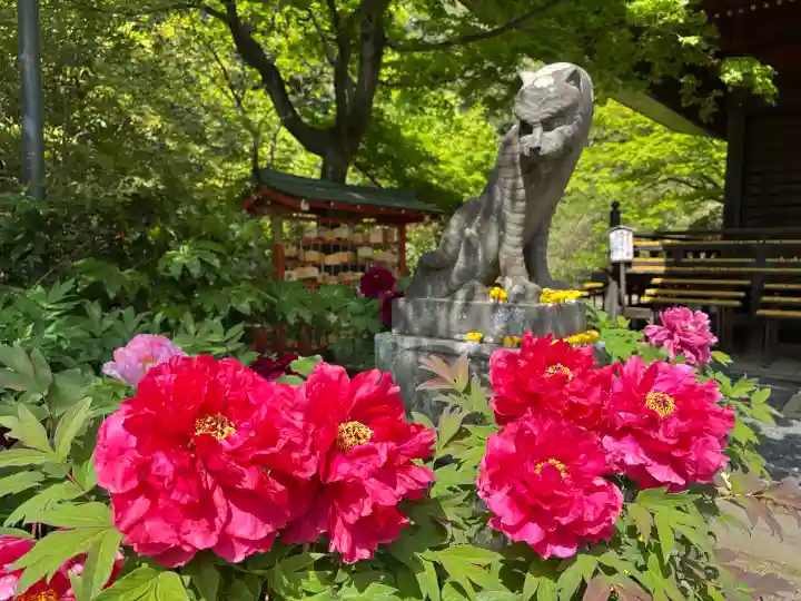多聞院の{uncategorized: "未分類", other: "その他", undefined: "問題あり", building: "その他建物", grave: "お墓", sacred_gate: "鳥居", guardian: "狛犬", statue: "像", buddha: "仏像", history: "歴史", nature: "自然", garden: "庭園", animal: "動物", pagoda: "塔", temizu: "手水舎", mountain_gate: "山門・神門", sanctuary: "本殿・本堂", subordinate: "末社・摂社", art: "芸術", scenery: "景色", jizo: "地蔵", ema: "絵馬", goshuin: "御朱印", omikuji: "おみくじ", items: "授与品その他", amulet: "お守り", goshuincho: "御朱印帳", eats: "食事", festival: "お祭り", votive_dance: "神楽", shichigosan: "七五三参", wedding: "結婚式", experience: "体験その他", initially: "初詣", around: "周辺", anti_infection: "感染症対策"}