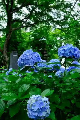 妙楽寺(神奈川県)