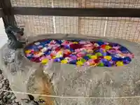 金井神社の手水舎