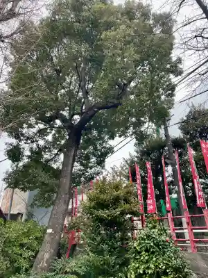 向陵稲荷神社の{uncategorized: "未分類", other: "その他", undefined: "問題あり", building: "その他建物", grave: "お墓", sacred_gate: "鳥居", guardian: "狛犬", statue: "像", buddha: "仏像", history: "歴史", nature: "自然", garden: "庭園", animal: "動物", pagoda: "塔", temizu: "手水舎", mountain_gate: "山門・神門", sanctuary: "本殿・本堂", subordinate: "末社・摂社", art: "芸術", scenery: "景色", jizo: "地蔵", ema: "絵馬", goshuin: "御朱印", omikuji: "おみくじ", items: "授与品その他", amulet: "お守り", goshuincho: "御朱印帳", eats: "食事", festival: "お祭り", votive_dance: "神楽", shichigosan: "七五三参", wedding: "結婚式", experience: "体験その他", initially: "初詣", around: "周辺", anti_infection: "感染症対策"}