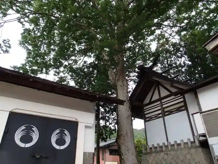 大歳神社のその他建物