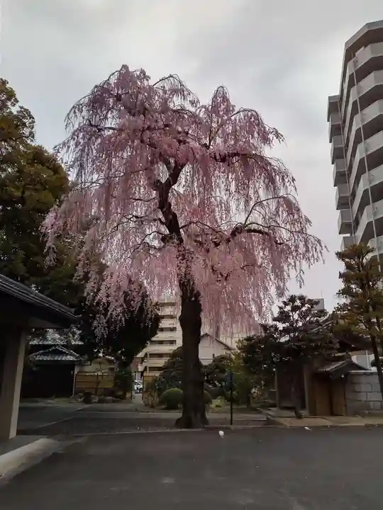 道仁寺(宮城県)