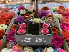 坂本八幡神社の手水