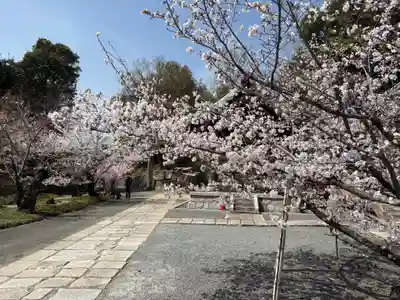 安岡寺(大阪府)
