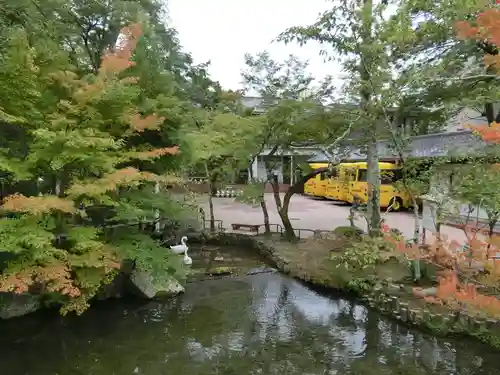 禅林寺（永観堂）(京都府)