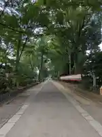 武蔵一宮氷川神社(埼玉県)