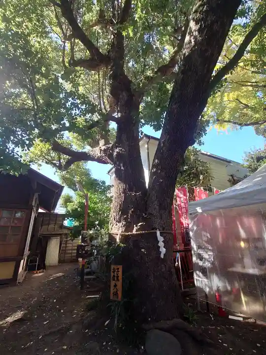 笠䅣稲荷神社(神奈川県)