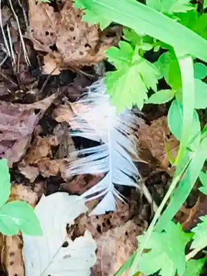 猿田神社(千葉県)